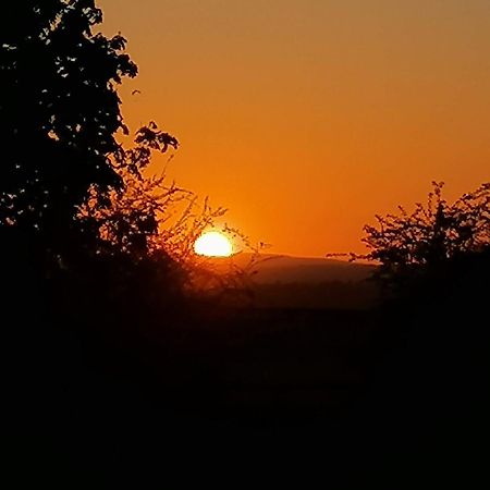 Stargazer Glamping Uk The Mahal 8 People Hotel Ross-on-Wye Luaran gambar