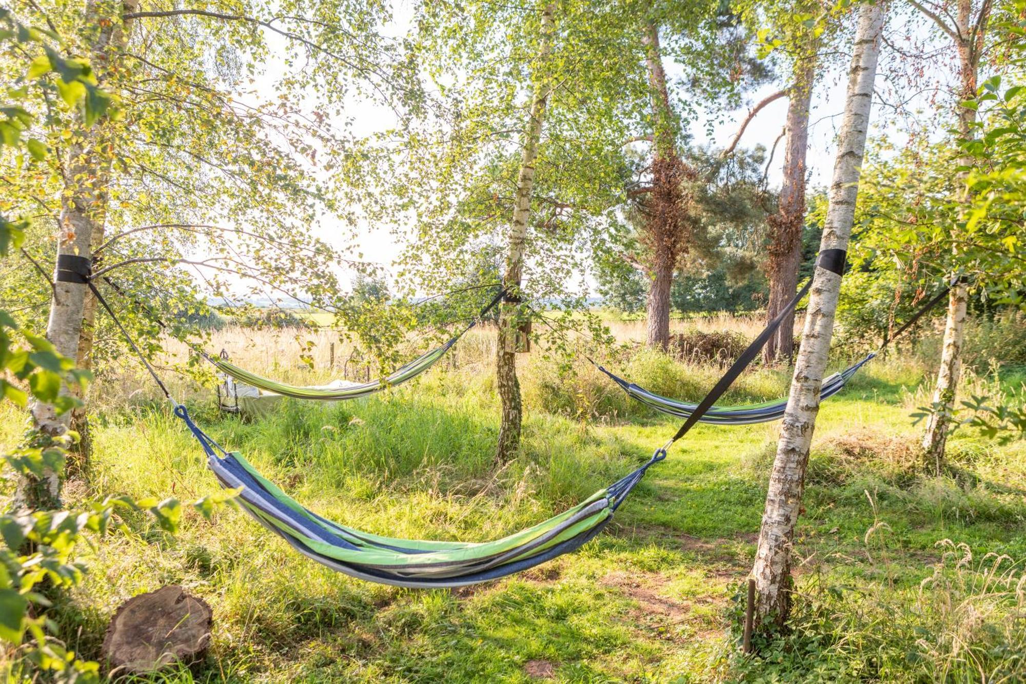 Stargazer Glamping Uk The Mahal 8 People Hotel Ross-on-Wye Luaran gambar