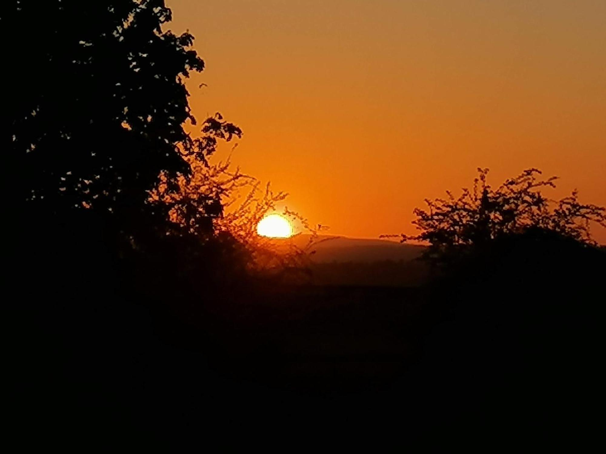 Stargazer Glamping Uk The Mahal 8 People Hotel Ross-on-Wye Luaran gambar